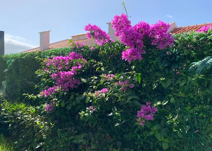 Helena Pearl Pensionat 4*