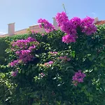 Helena Pearl Guest house 4*