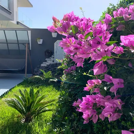 Helena Pearl Guest house Canico (Madeira)
