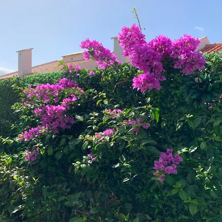 Helena Pearl Guest house 4*