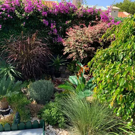 Guest house Helena Pearl Canico (Madeira)