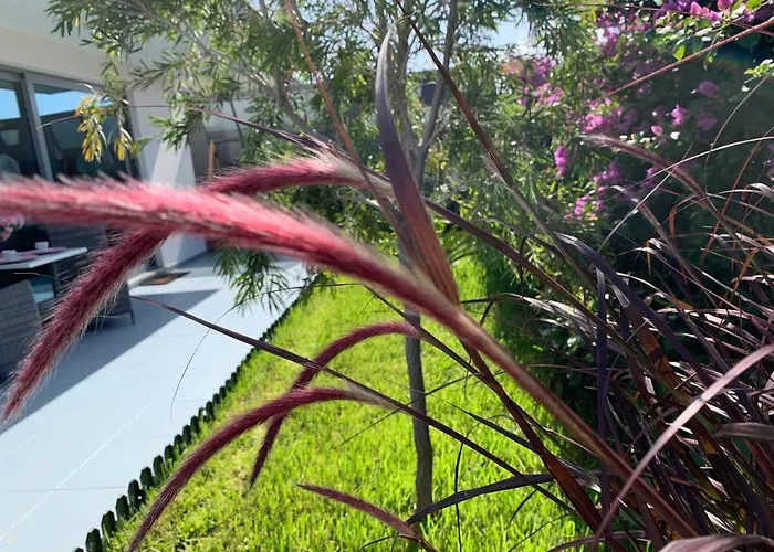 Helena Pearl Canico (Madeira)