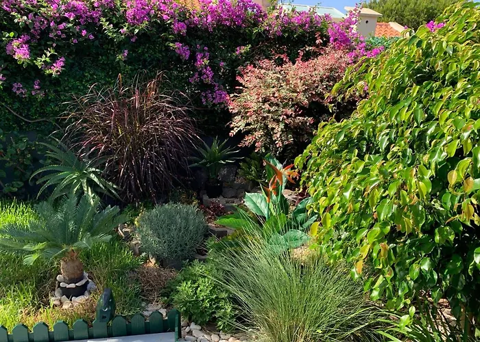 Guest house Helena Pearl Canico (Madeira)